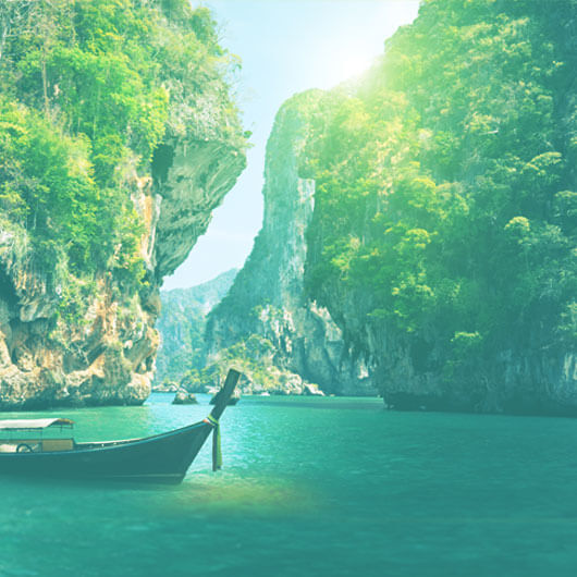 RICE NOODLES WITH «PHO GA» SAUCE