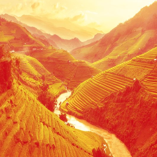 Glads WOK noodles with «Mie Goreng» sauce